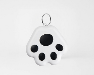 Collection image for: Mascotas
