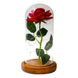 Lampara De Rosa Romantica En Capsula Con Guirnalda Led