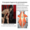 Ejercitador De Cuello Cabezal Arnes Neck Harness Gym Boxeo