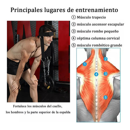 Ejercitador De Cuello Cabezal Arnes Neck Harness Gym Boxeo