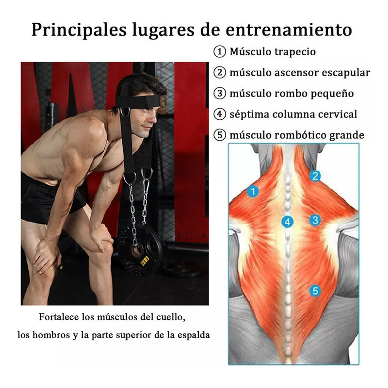 Ejercitador De Cuello Cabezal Arnes Neck Harness Gym Boxeo
