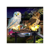 Pack X2 Buho Led Estaca Jardin Recargable Panel Solar