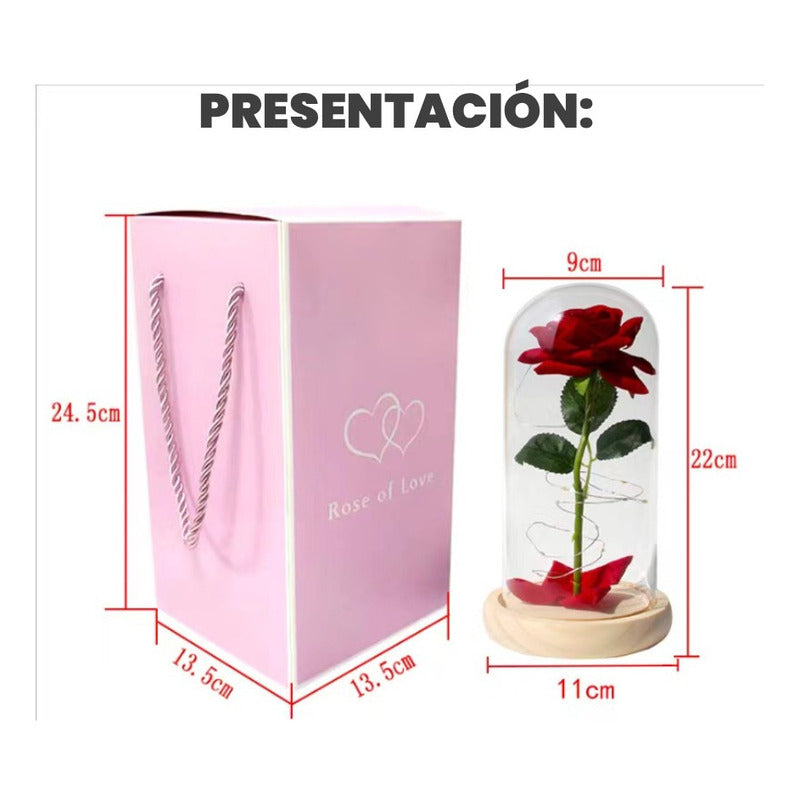 Lampara De Rosa Romantica En Capsula Con Guirnalda Led